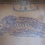 Leaping Tiger - Suea Paen!